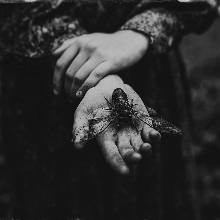 Foto es de Oxana Mazur (compartida con permiso de la autora). Una mano de mujer abierta que sostiene una especie de lepidópteros en reposo.