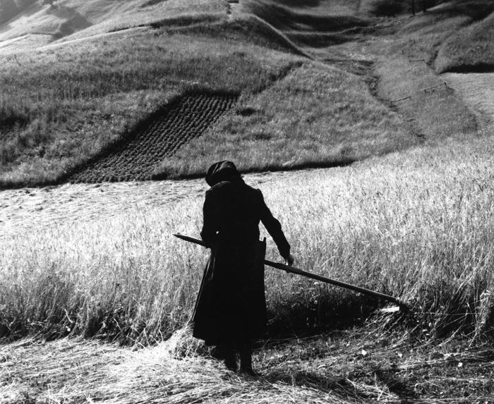 Alfredo Camisa, Sappada, 1945-1975. Sesenta y tres parcas contra el viento
