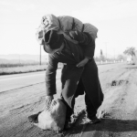 Dorothea Lange (1895–1965)