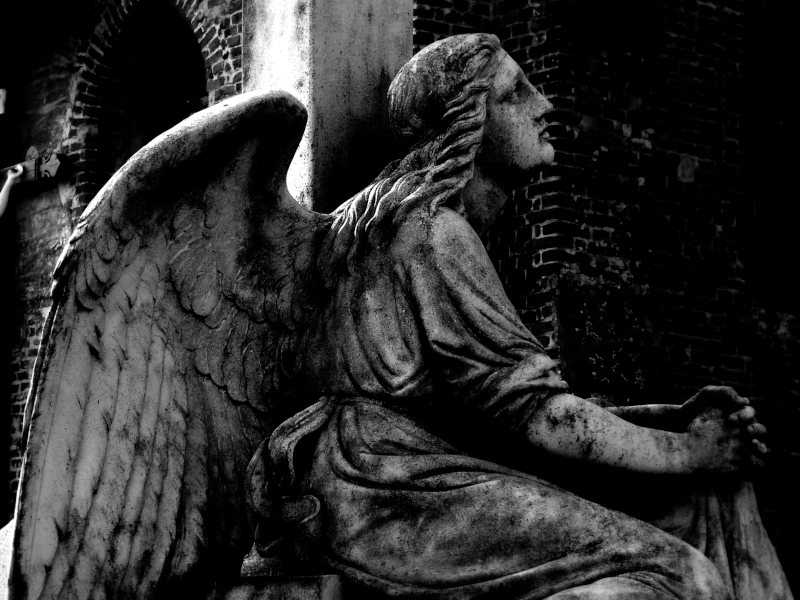 Eddy Van 3000 (Flickr), Who stole the sun from its place in my heart (detail, mod b&w)