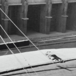 Manuel Álvarez Bravo (1902–2002)